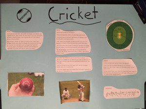 Cricket1